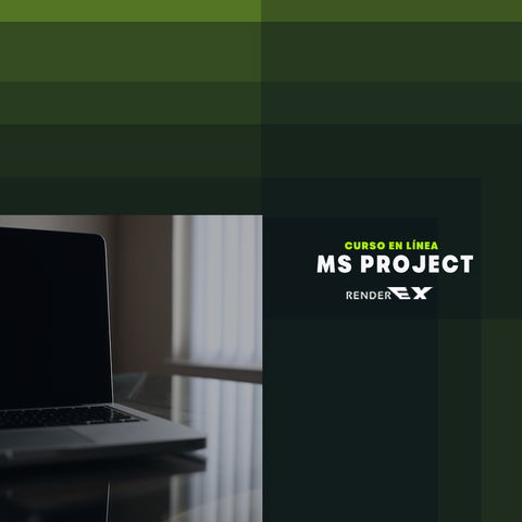 MS Project 