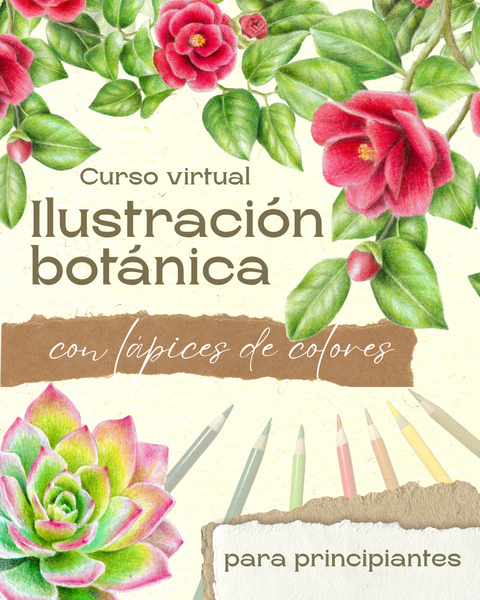 ILUSTRACIÓN BOTÁNICA con lápices de colores
