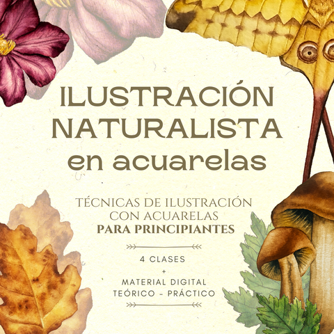 Ilustraci N Naturalista Para Principiantes Nunkui