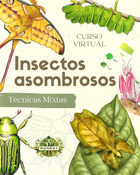INSECTOS ASOMBROSOS