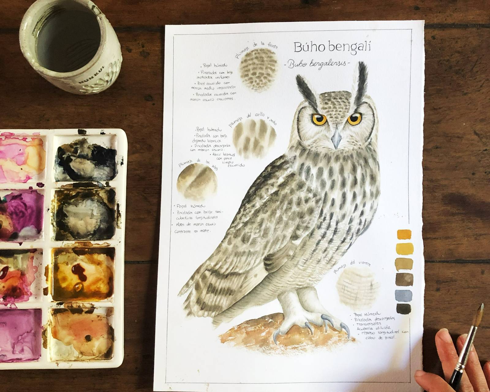 Ilustración del curso de Aves
