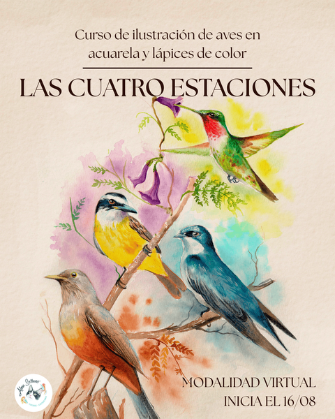 Las cuatro estaciones: Curso de Ilustración de Aves / PREVENTA