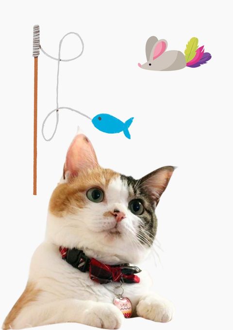 Referencia para practicar sketching monocromático