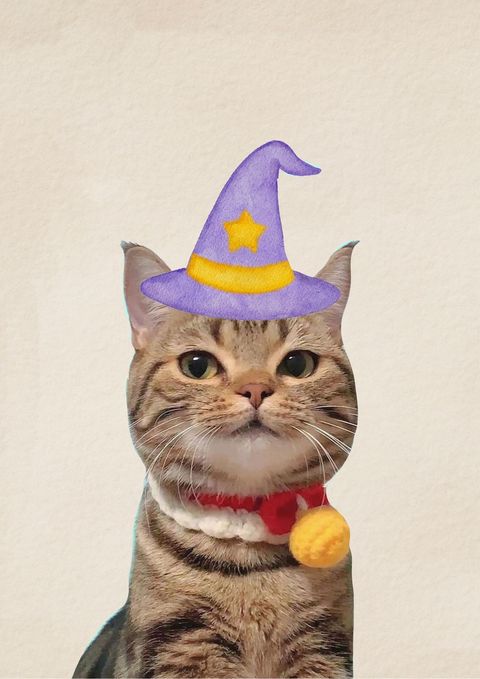 Plantilla especial de Halloween, gatito mago 