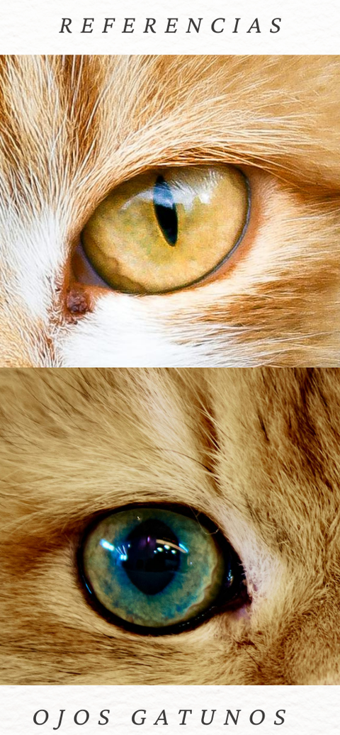 Ojos gatunos para seguir practicando