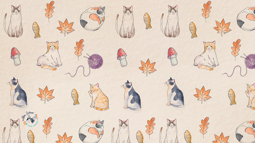 Regalitos de bienvenida / Fondo de gatitos para la compu y celu