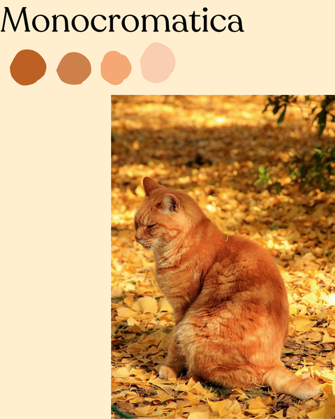 Referencias para practicar armonías 