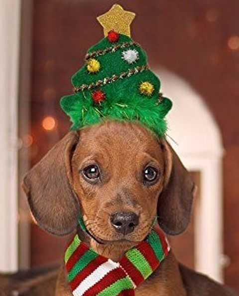 Plantilla de práctica de adorno navideño 