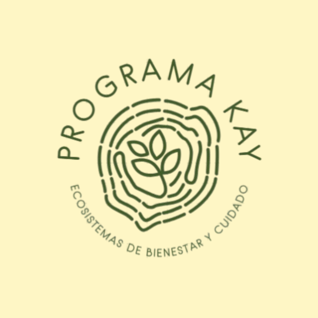 Programa Kay: La Revolución en la Educación que Transforma Docentes y Escuelas