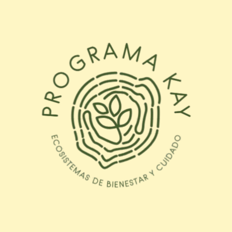 Programa Kay: La Revolución en la Educación que Transforma Docentes y Escuelas