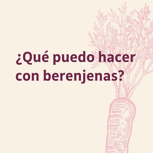 ¿Qué puedo hacer con berenjenas?