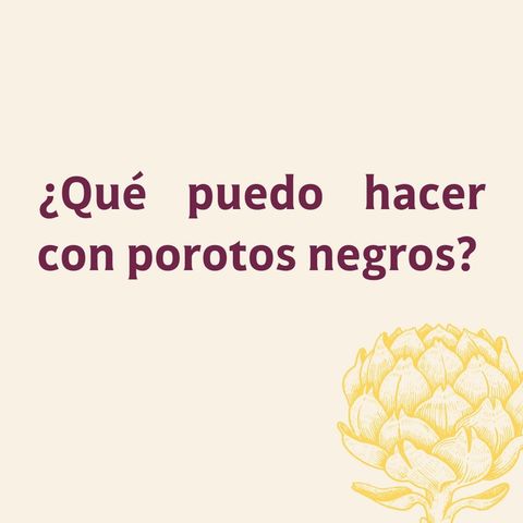 ¿Qué puedo hacer con porotos negros?