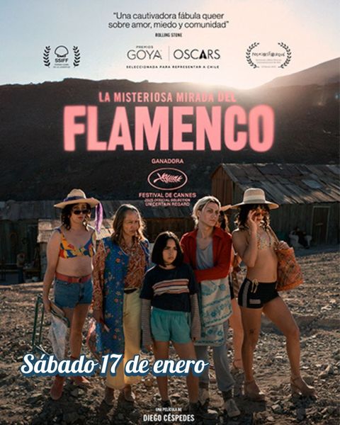 Doble P Sábado 17 de enero: LA MISTERIOSA MIRADA DEL FLAMENCO