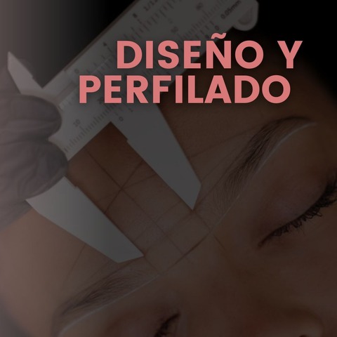 Estilismo. Diseño y perfilado 
