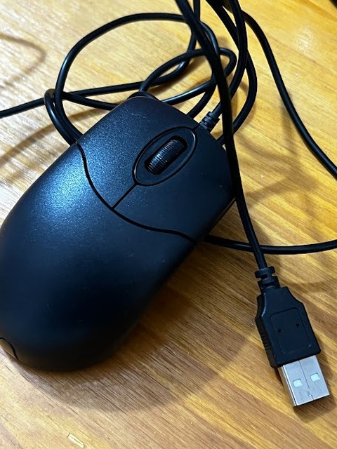 mouse