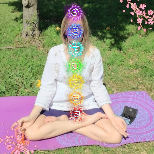 Los Chakras: Centros Energéticos del Cuerpo