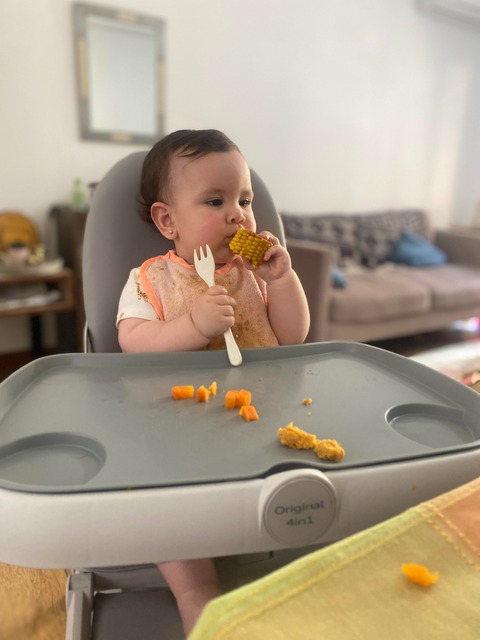 GUIAS DE ALIMENTACION COMPLEMENTARIA 
