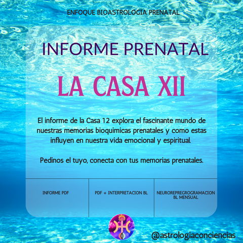 INFORME DE LA CASA XII