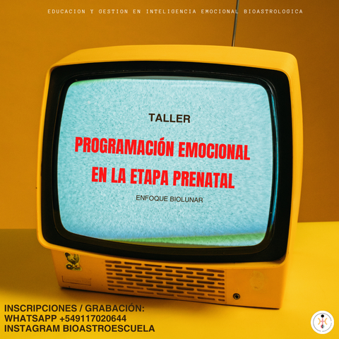 Taller | Programación Prenatal y la Casa 12