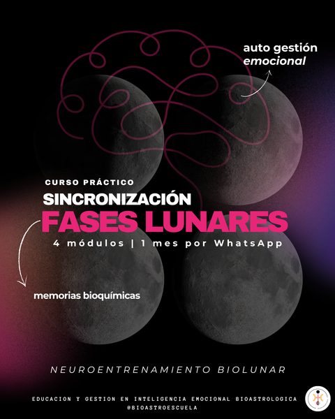 SINCRONIZACION CON LAS FASES LUNARES | CURSO MOVIL | PROGRAMA AVALARTE
