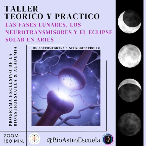 CONTENIDO SOBRE LAS FASES LUNARES Y LOS NEUROTRANSMISORES