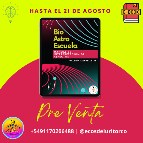 MANUAL GUIA DE INTERPRETACIÓN DE ASPECTOS. VOL I