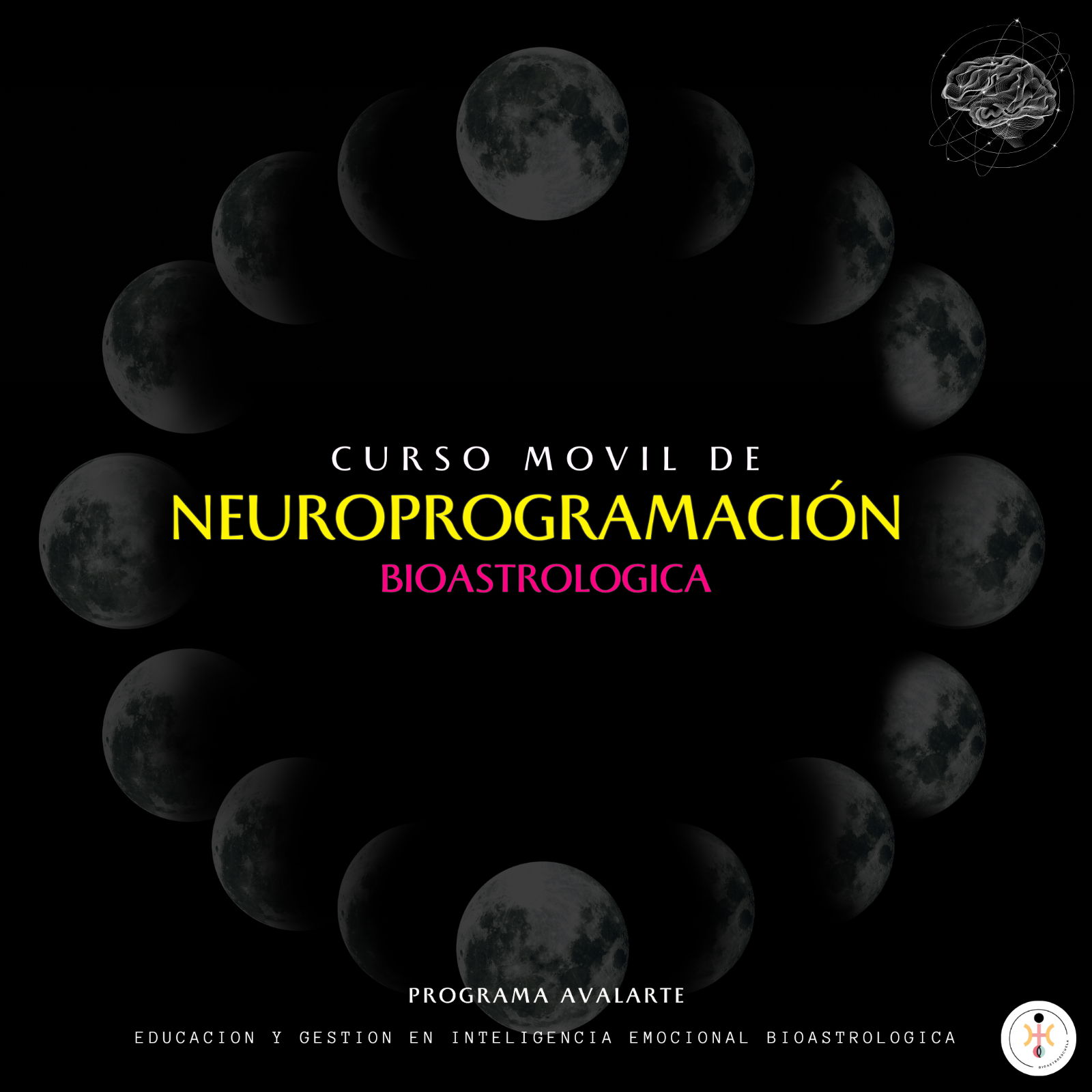 Ciclos de NeuroReprogramación