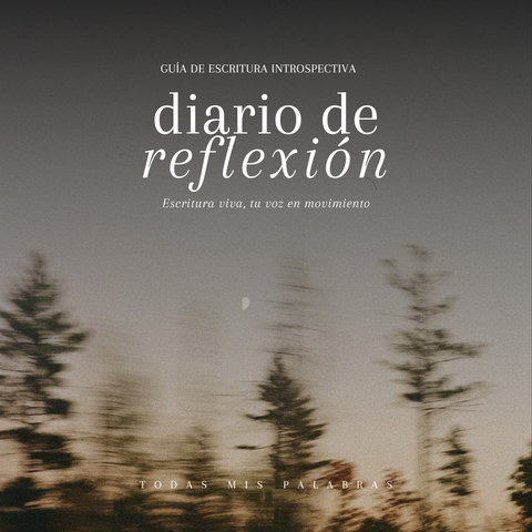 Diario de reflexión