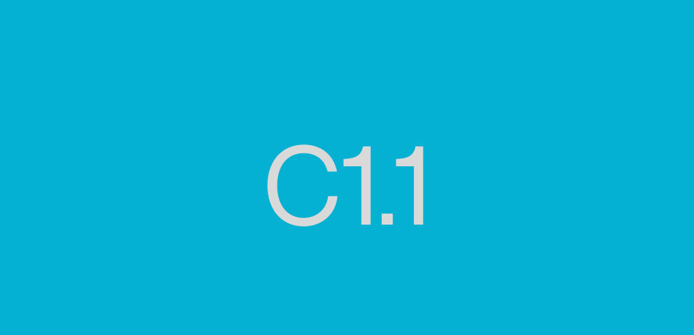 C1.1