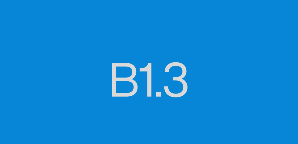 B1.3  