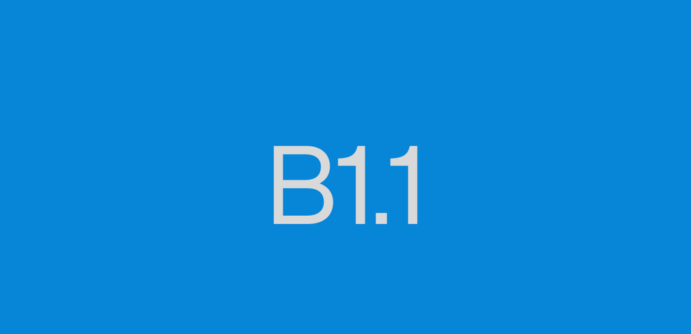 B1.1