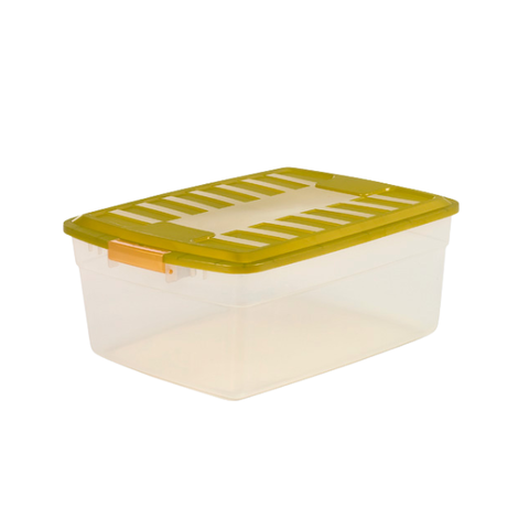 Col Box Recto x 17 Lts 
