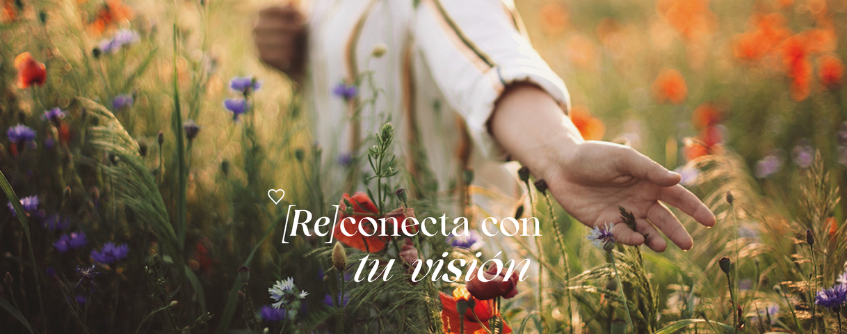 Reconecta con tu visión