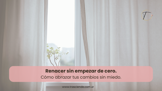 Renacer sin empezar de cero. Cómo abrazar tus cambios sin miedo.
