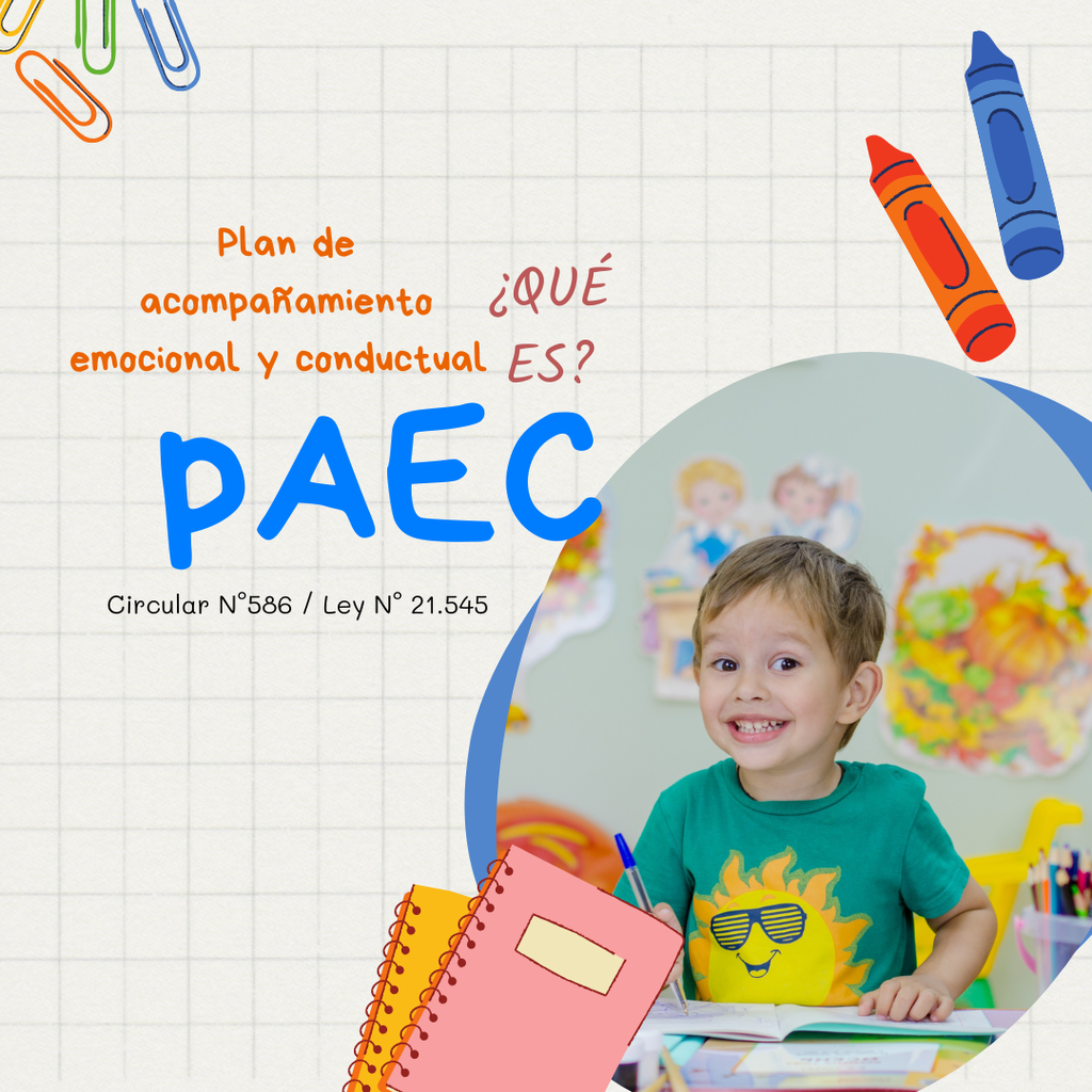 Paec Posts FORMATO EDITABLE PAEC - Espacioteakids