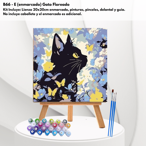 B70-E Gato Floreado