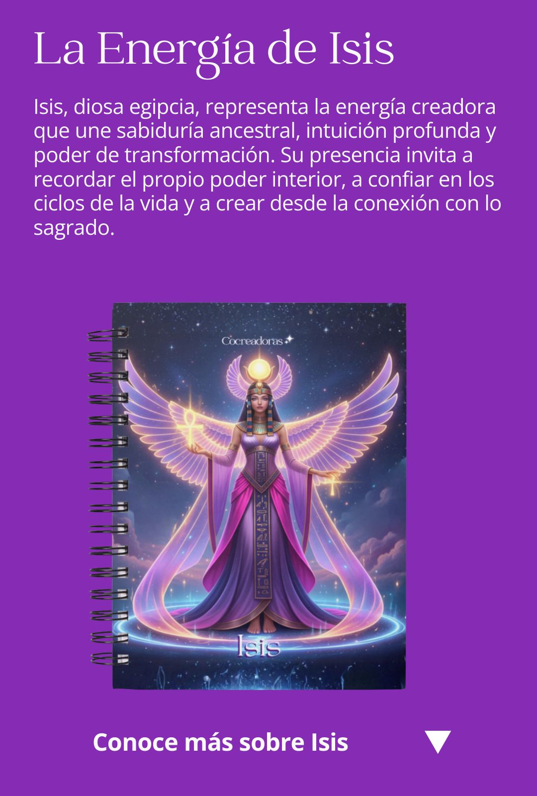 Lakshmi representa la energía que nutre, sostiene y embellece todo lo que toca. Su presencia nos recuerda que la abundancia no es solo material, sino un estado interno de apertura, merecimiento y gratitud. Este diseño está inspirado en esa fuerza suave y poderosa que invita a recibir con confianza y a crear desde el placer y la armonía.