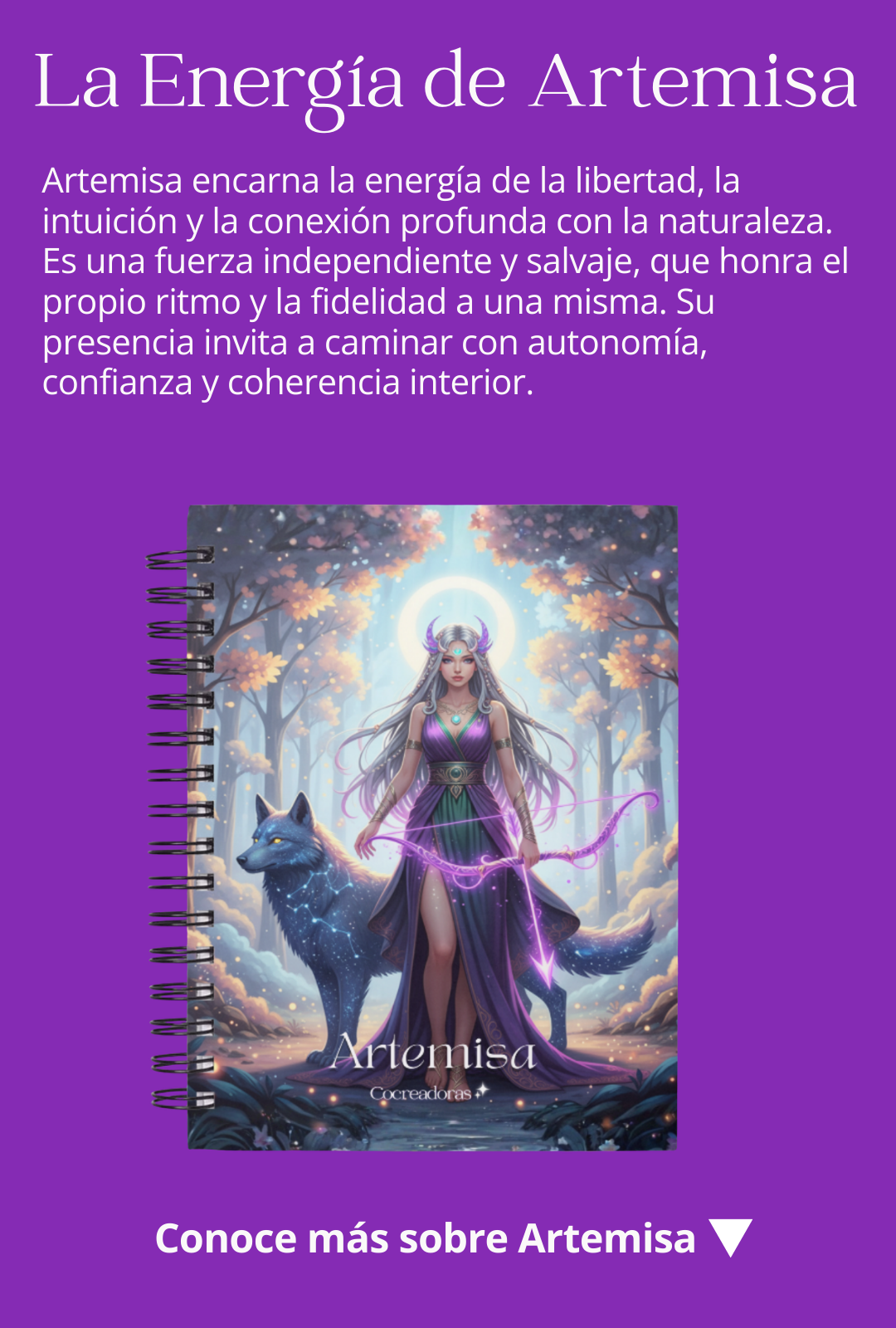Lakshmi representa la energía que nutre, sostiene y embellece todo lo que toca. Su presencia nos recuerda que la abundancia no es solo material, sino un estado interno de apertura, merecimiento y gratitud. Este diseño está inspirado en esa fuerza suave y poderosa que invita a recibir con confianza y a crear desde el placer y la armonía.