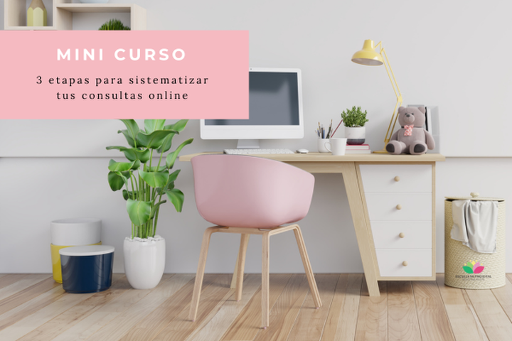 MINI CURSO: 3 etapas para sistematizar tus consultas online