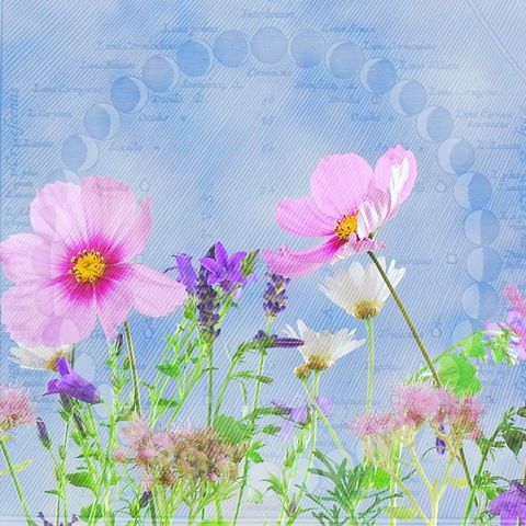 EL FINAL DE UNA VIEJA FRUSTRACIÓN