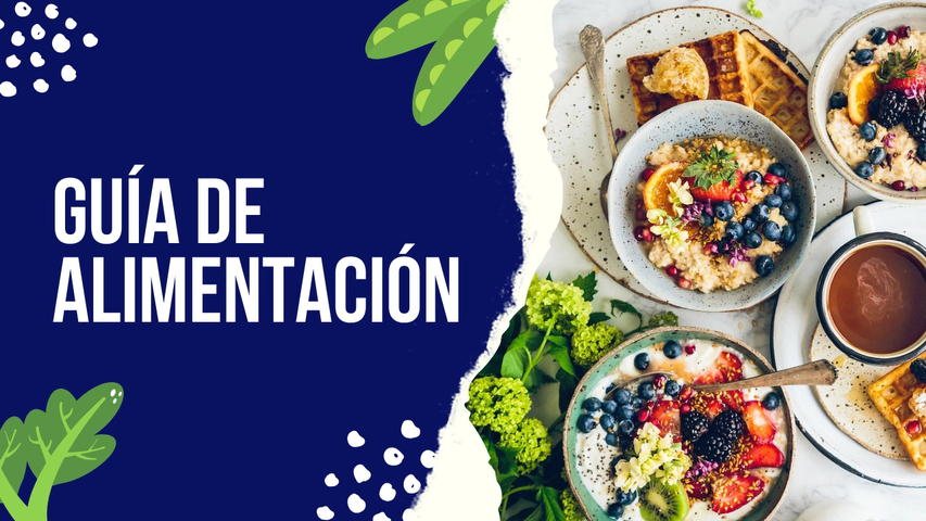 Guía de Alimentación