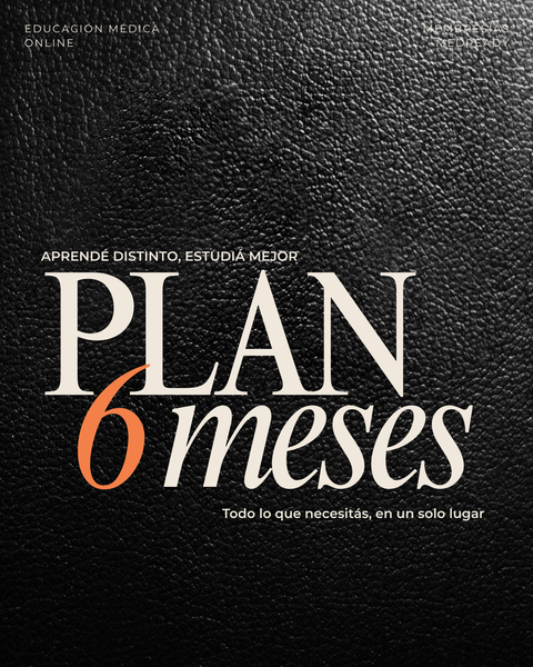 Plan 6 meses