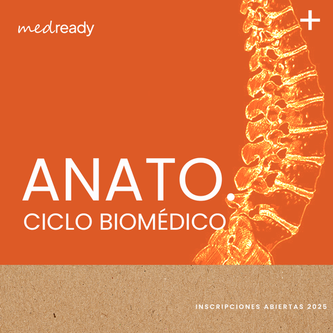 Evento Asincrónico | Repaso de Anatomía – 1º Parcial (UBA 2025)