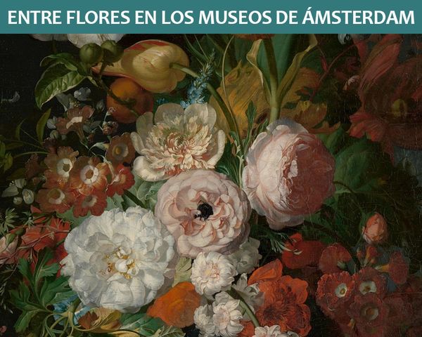Entre flores en los Museos de Ámsterdam
