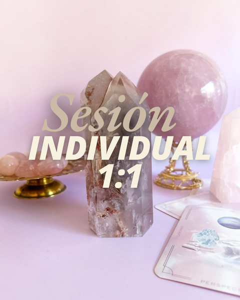 Sesión Individual 1:1