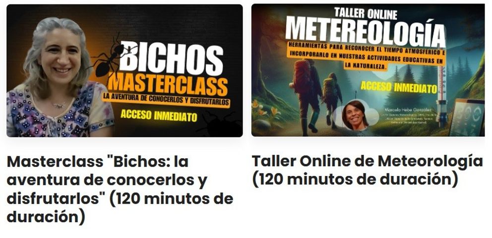 Combo taller meteorología + masterclass bichos