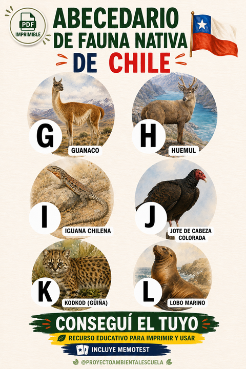 Descargable: Abecedario de fauna nativa de Chile