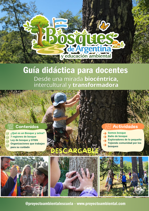 Descargable: Guía didáctica sobre los bosques de Argentina
