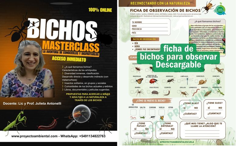 Combo Bichos: masterclass online + ficha de observación