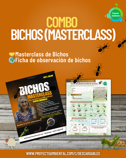 Combo Bichos: masterclass online + ficha de observación